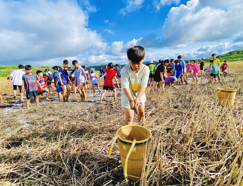 Các em học sinh Trường Quốc tế châu Á Thái Bình Dương-Gia Lai hào hứng trải nghiệm bắt cá, bắt ốc trên ruộng lúa. Ảnh: H.D Các em học sinh Trường Quốc tế châu Á Thái Bình Dương-Gia Lai hào hứng trải nghiệm bắt cá, bắt ốc trên ruộng lúa. Ảnh: H.D