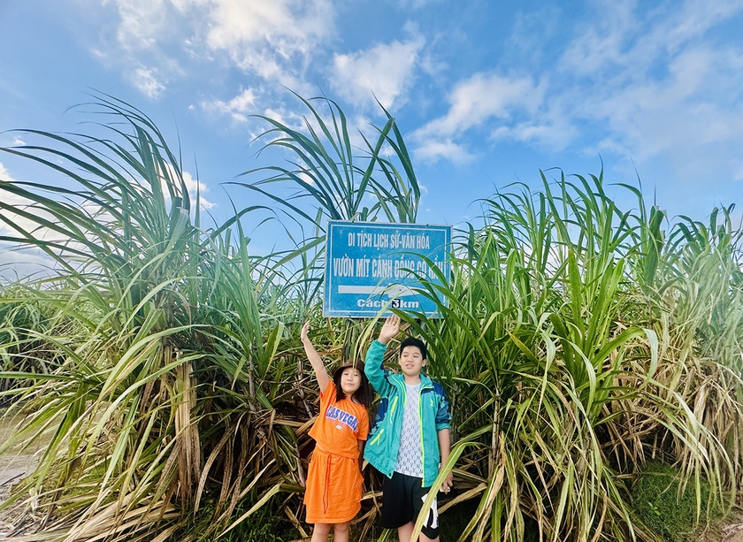 Lao xao ruộng mía, đường đến Cánh đồng Cô Hầu. Ảnh: Nguyễn Thị Diễm