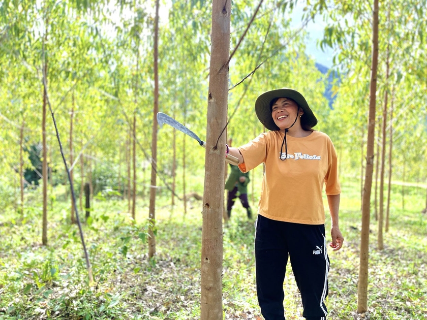 Chị Đinh Thị Khyenh (làng Lơ Vi, xã Lơ Ku, huyện Kbang) dọn tỉa cành, nhánh diện tích rừng trồng. Ảnh: M.P Chị Đinh Thị Khyenh (làng Lơ Vi, xã Lơ Ku, huyện Kbang) dọn tỉa cành, nhánh diện tích rừng trồng. Ảnh: M.P