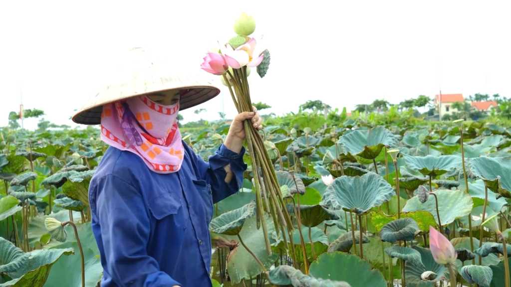 Quảng Ninh: Xây dựng những vùng nông thôn mới sạch đẹp Quảng Ninh: Xây dựng những vùng nông thôn mới sạch đẹp