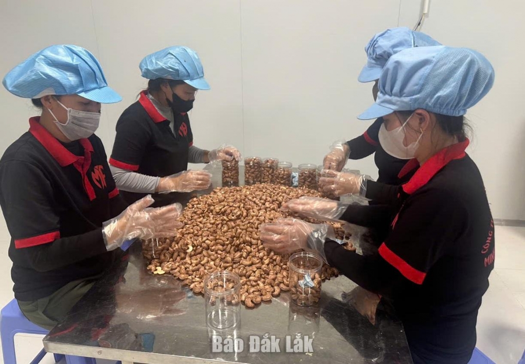 Đắk Lắk: Huyện Cư Kuin có 6 sản phẩm OCOP 3 sao năm 2024