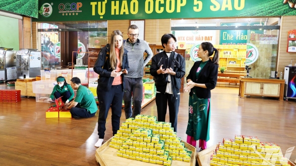 Thái Nguyên: Nâng tầm sản phẩm chè Tân Cương