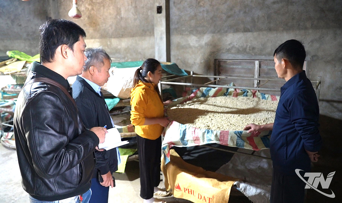 Thái Nguyên: Làng nghề tương Úc Kỳ trở lại nhịp sản xuất