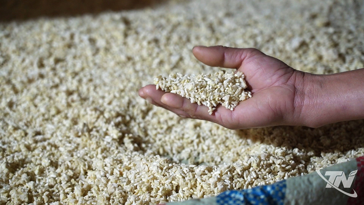 Thái Nguyên: Làng nghề tương Úc Kỳ trở lại nhịp sản xuất