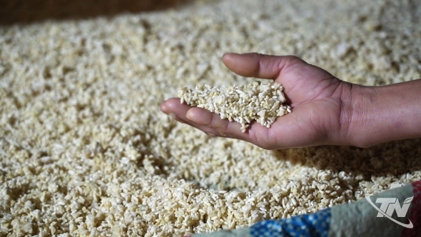 Thái Nguyên: Làng nghề tương Úc Kỳ trở lại nhịp sản xuất