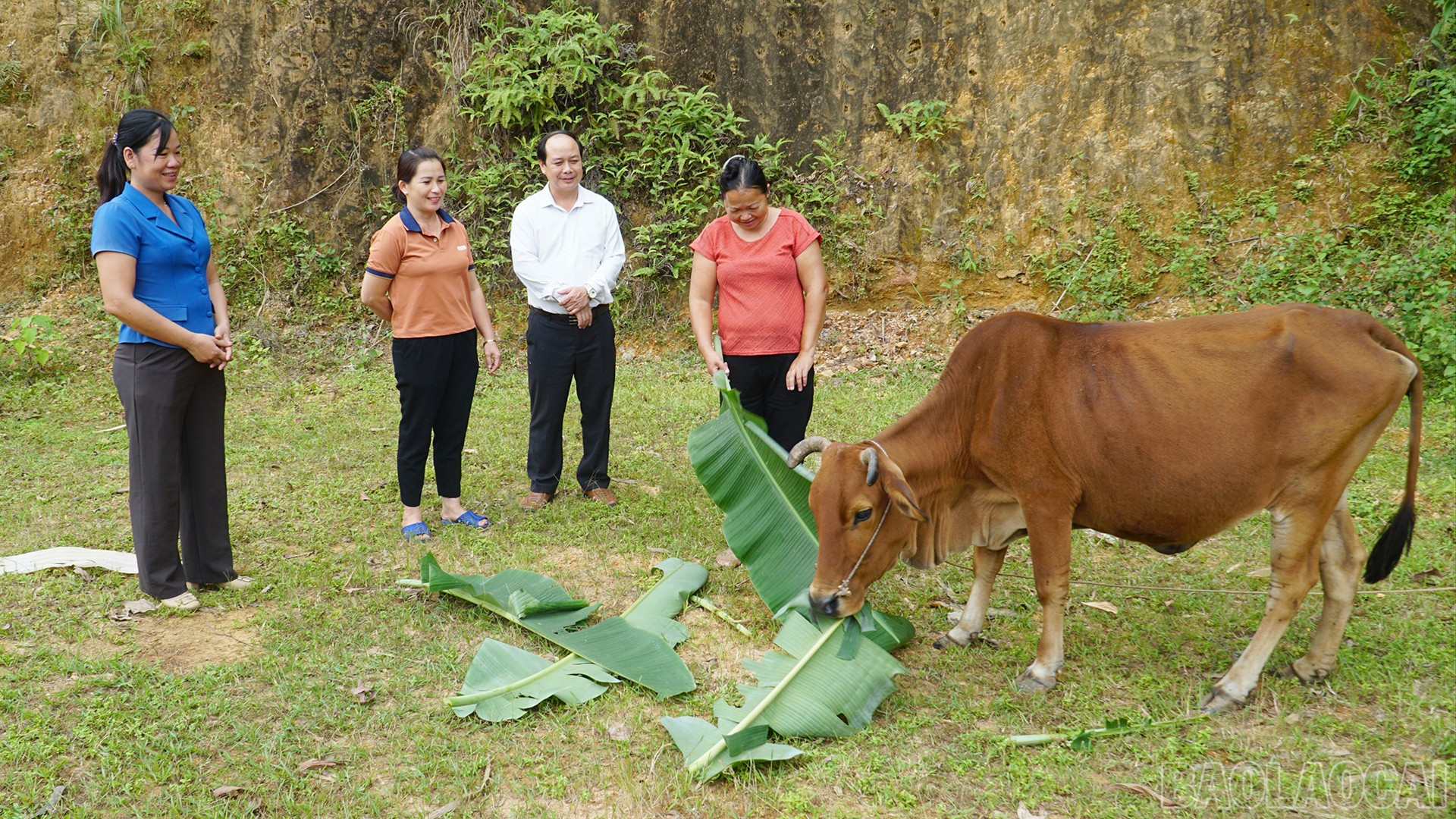 Lào Cai: Xóa nghèo ở Yên Thành