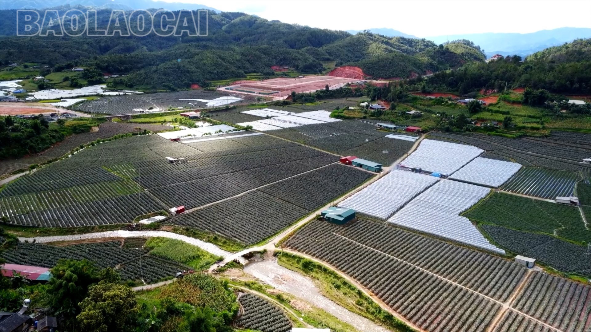 Lào Cai: Thay đổi để vươn lên ở Púng Luông Lào Cai: Thay đổi để vươn lên ở Púng Luông