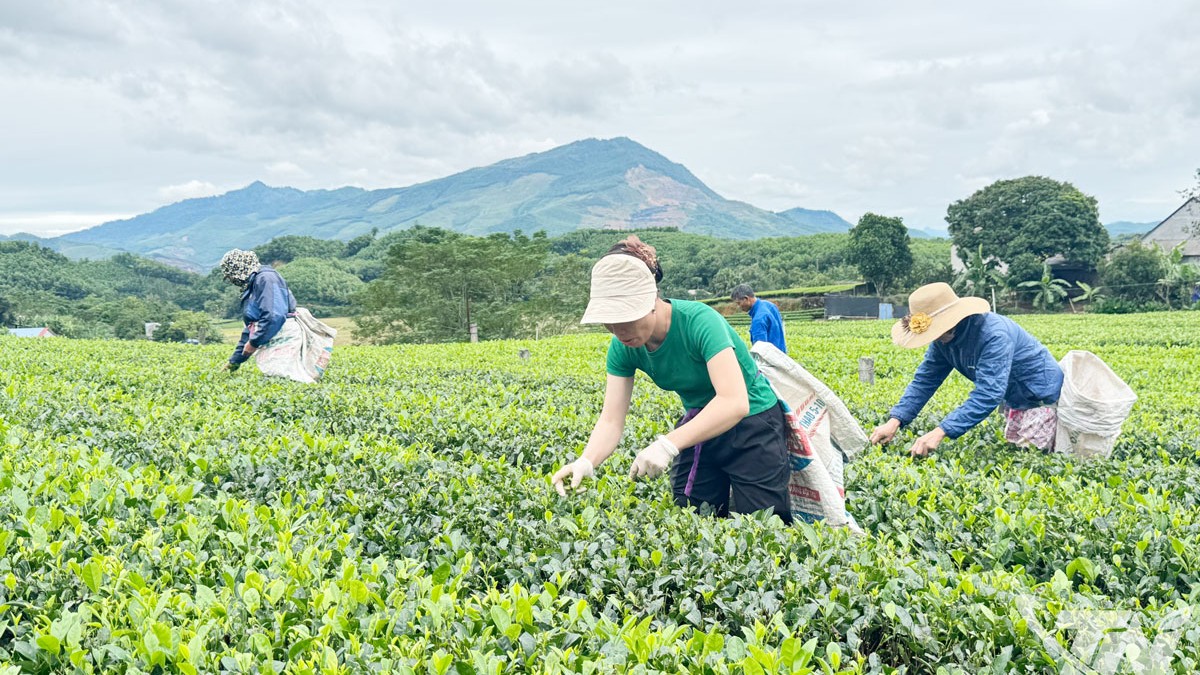 Thái Nguyên: Kinh tế sáng tạo thắp lửa cho làng nghề