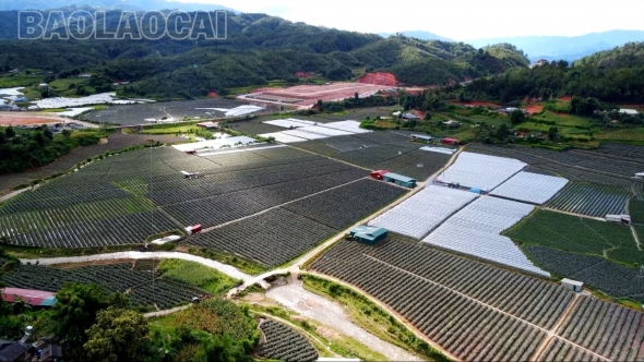 Lào Cai: Thay đổi để vươn lên ở Púng Luông