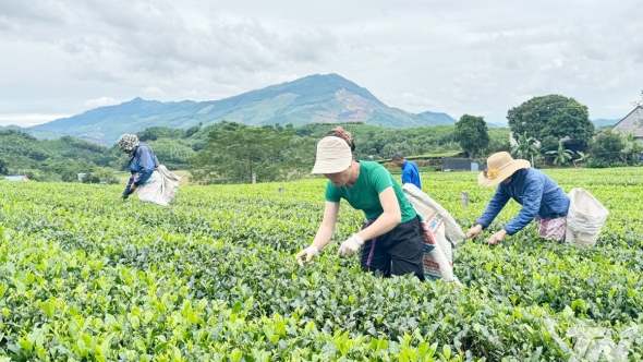 Thái Nguyên: Kinh tế sáng tạo thắp lửa cho làng nghề