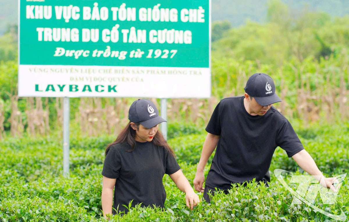 Thái Nguyên: Kinh tế sáng tạo thắp lửa cho làng nghề Thái Nguyên: Kinh tế sáng tạo thắp lửa cho làng nghề