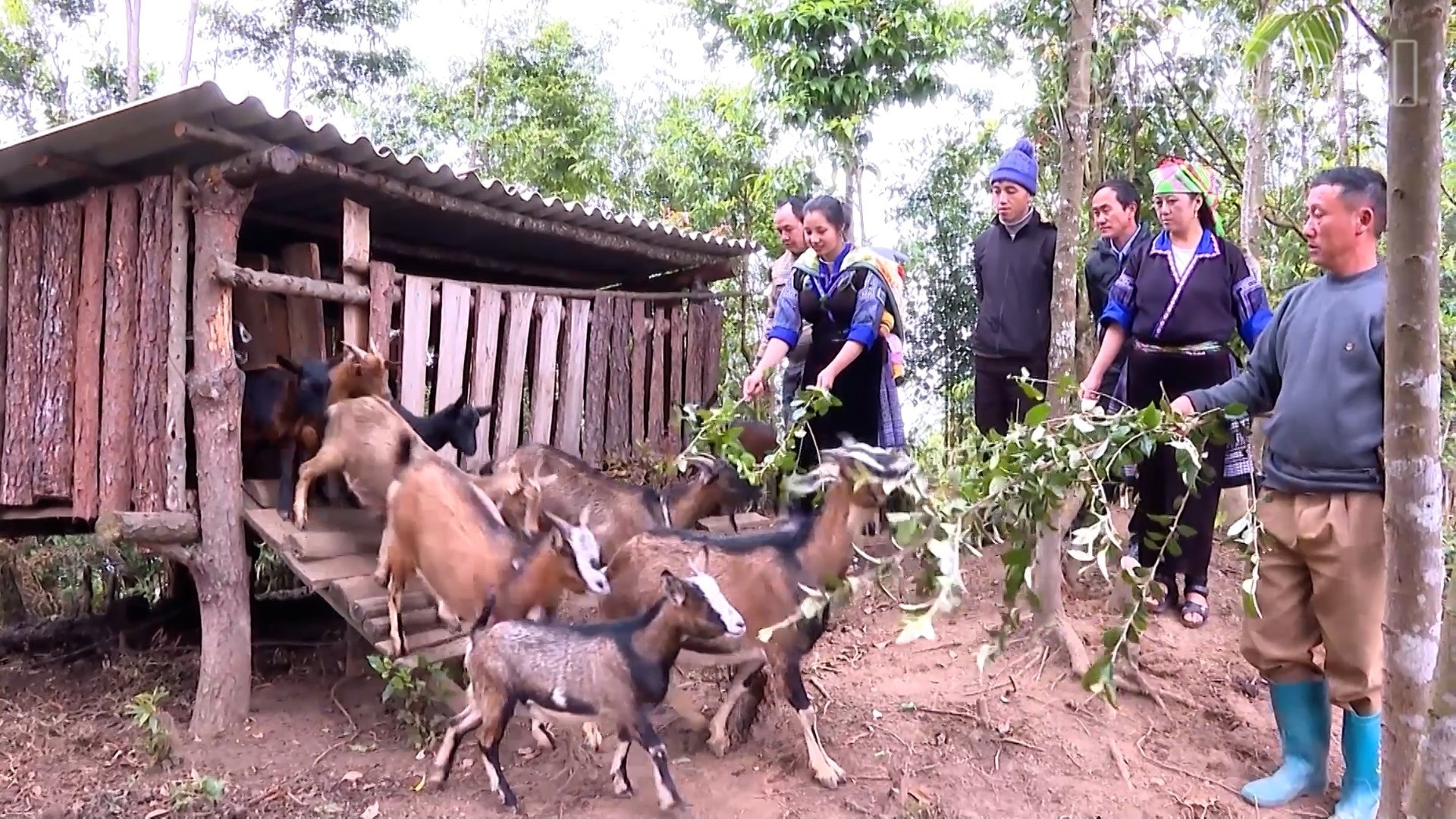 Lào Cai: Thay đổi để vươn lên ở Púng Luông Lào Cai: Thay đổi để vươn lên ở Púng Luông