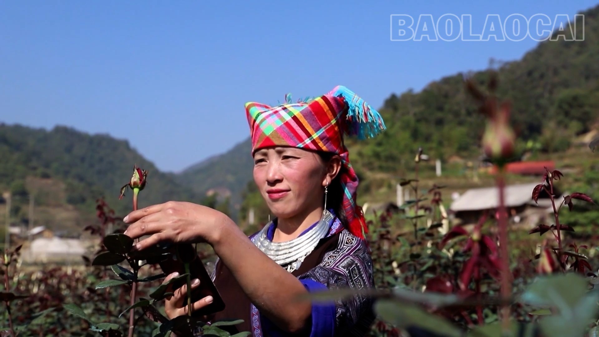 Lào Cai: Thay đổi để vươn lên ở Púng Luông Lào Cai: Thay đổi để vươn lên ở Púng Luông