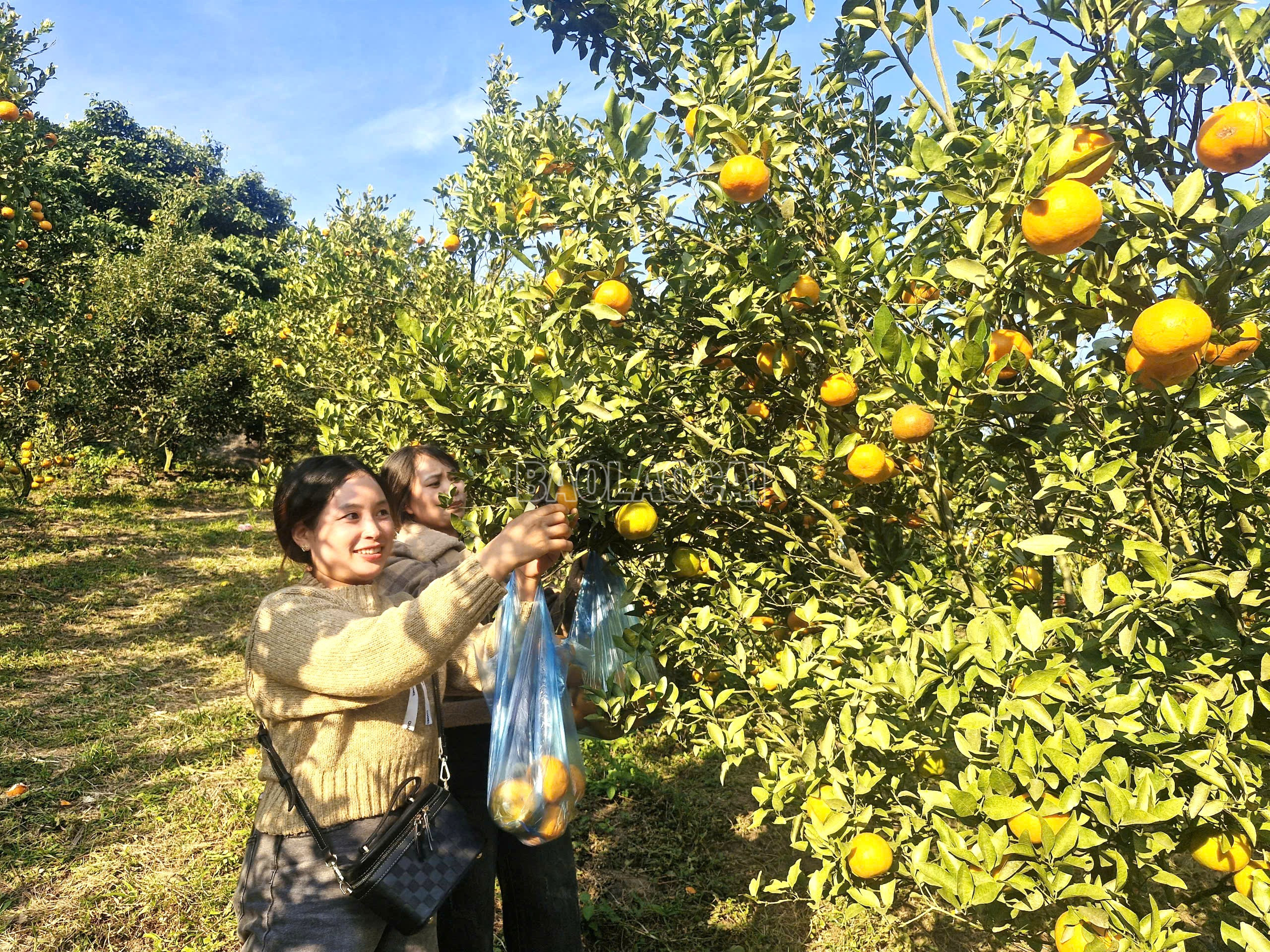 Lào Cai: Xã Bản Xèo xây dựng điểm đến du lịch hấp dẫn