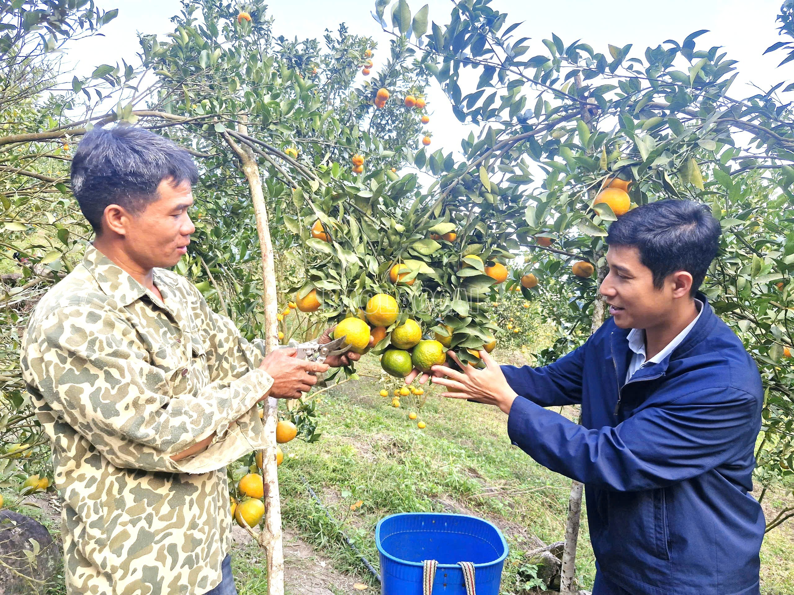 Lào Cai: Xã Bản Xèo xây dựng điểm đến du lịch hấp dẫn