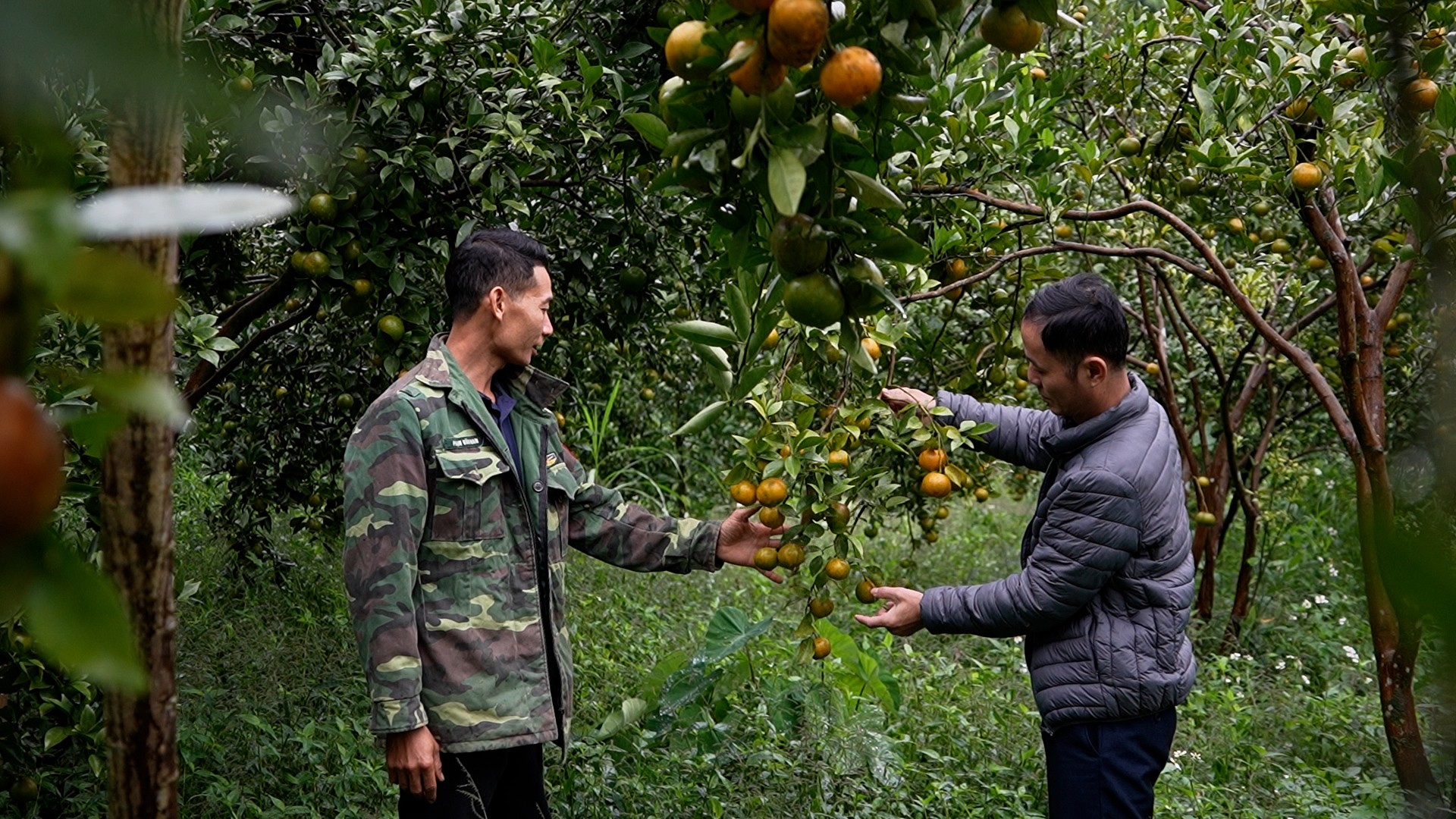Lào Cai: Những đảng viên trẻ tiên phong mở lối thoát nghèo Lào Cai: Những đảng viên trẻ tiên phong mở lối thoát nghèo