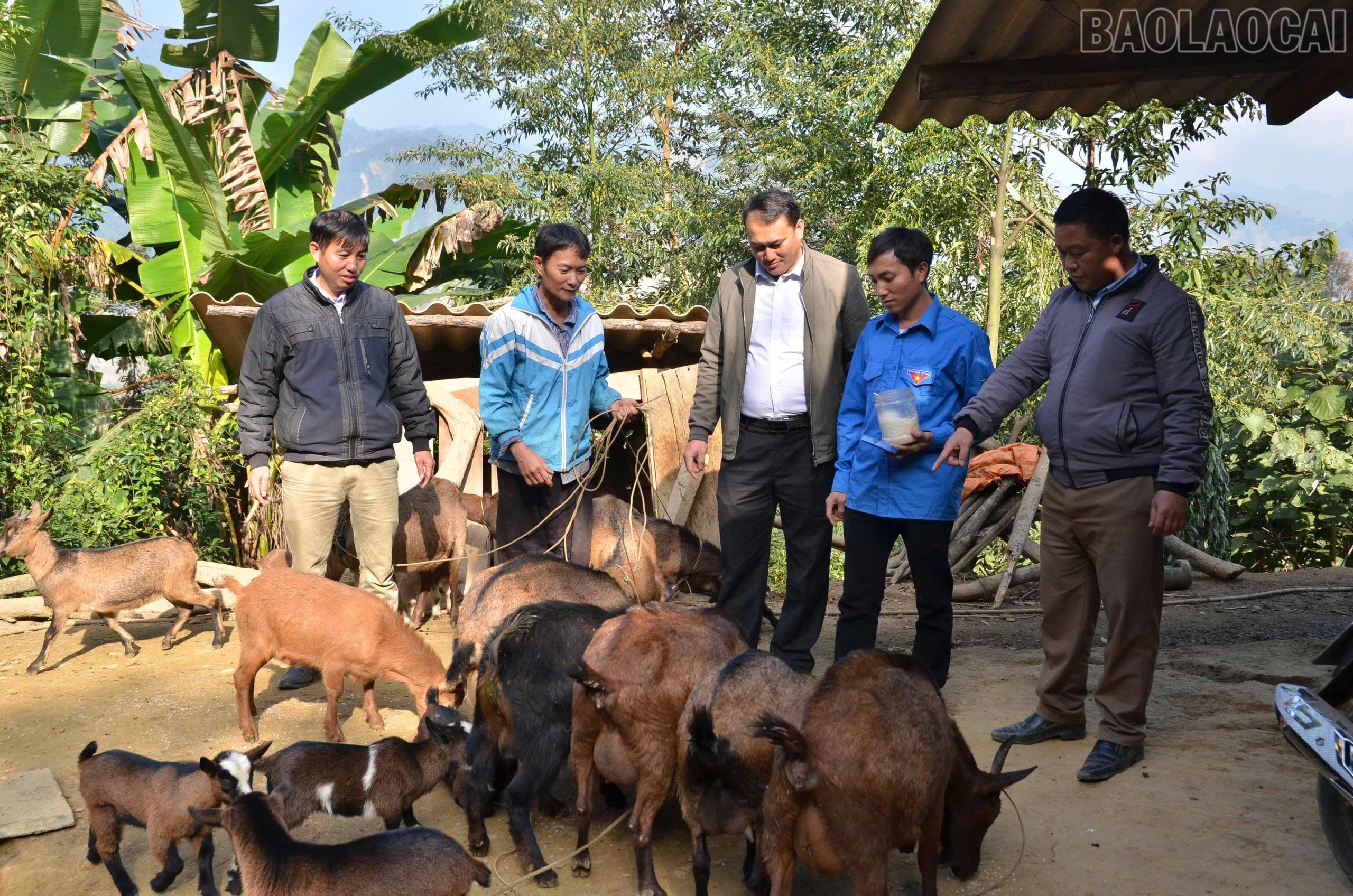 Lào Cai đạt nhiều kết quả tích cực trong công tác giảm nghèo giai đoạn 2021 - 2025