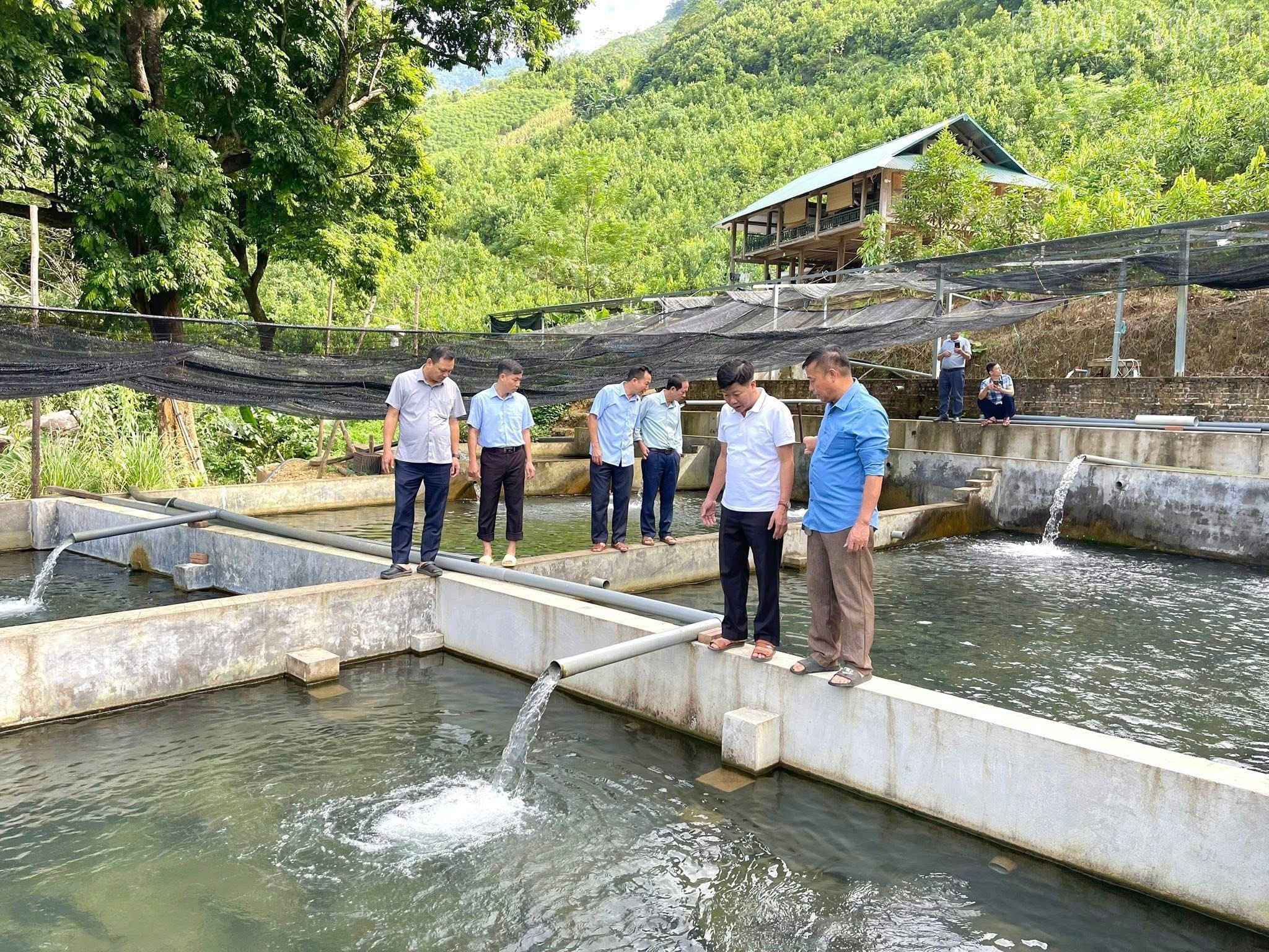 Lào Cai đạt nhiều kết quả tích cực trong công tác giảm nghèo giai đoạn 2021 - 2025