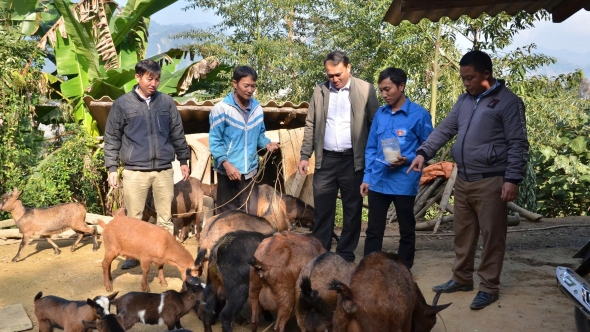 Lào Cai đạt nhiều kết quả tích cực trong công tác giảm nghèo giai đoạn 2021 - 2025