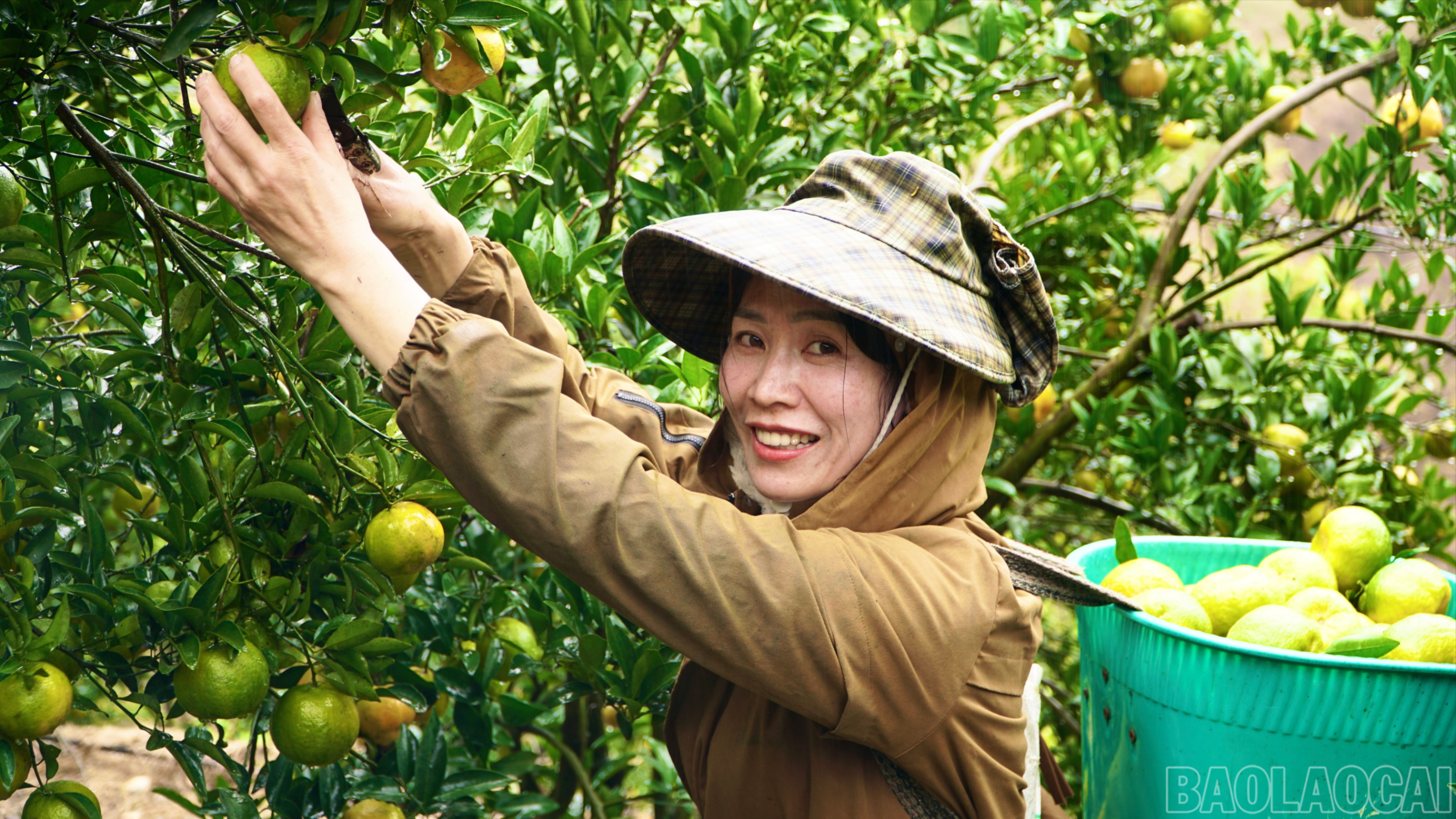 Lào Cai: Phụ nữ vùng cao thay đổi tư duy phát triển kinh tế, giảm nghèo bền vững