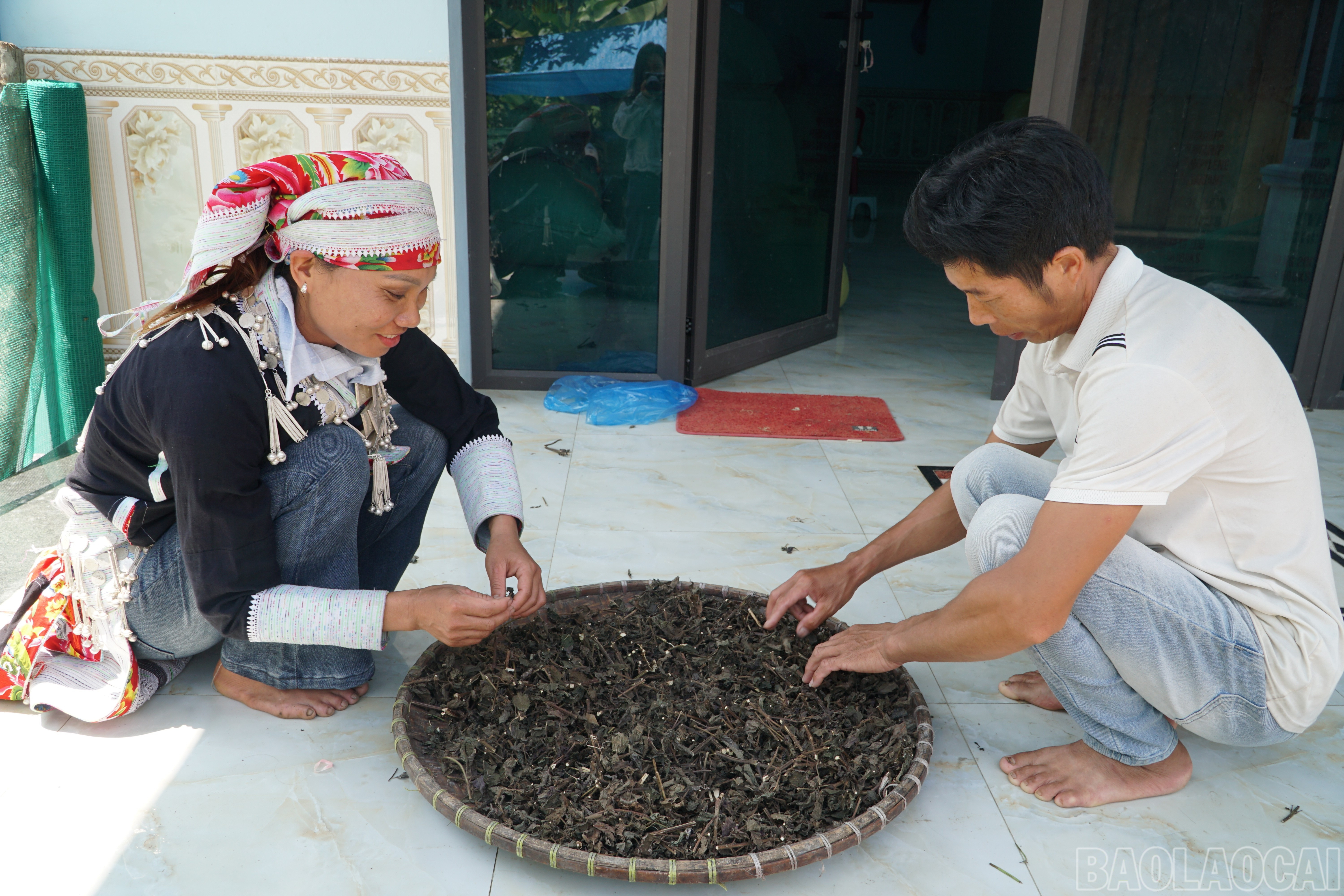 Lào Cai: Phụ nữ vùng cao thay đổi tư duy phát triển kinh tế, giảm nghèo bền vững