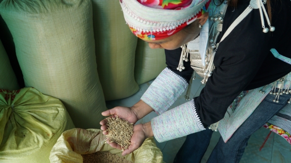 Lào Cai: Phụ nữ vùng cao thay đổi tư duy phát triển kinh tế, giảm nghèo bền vững