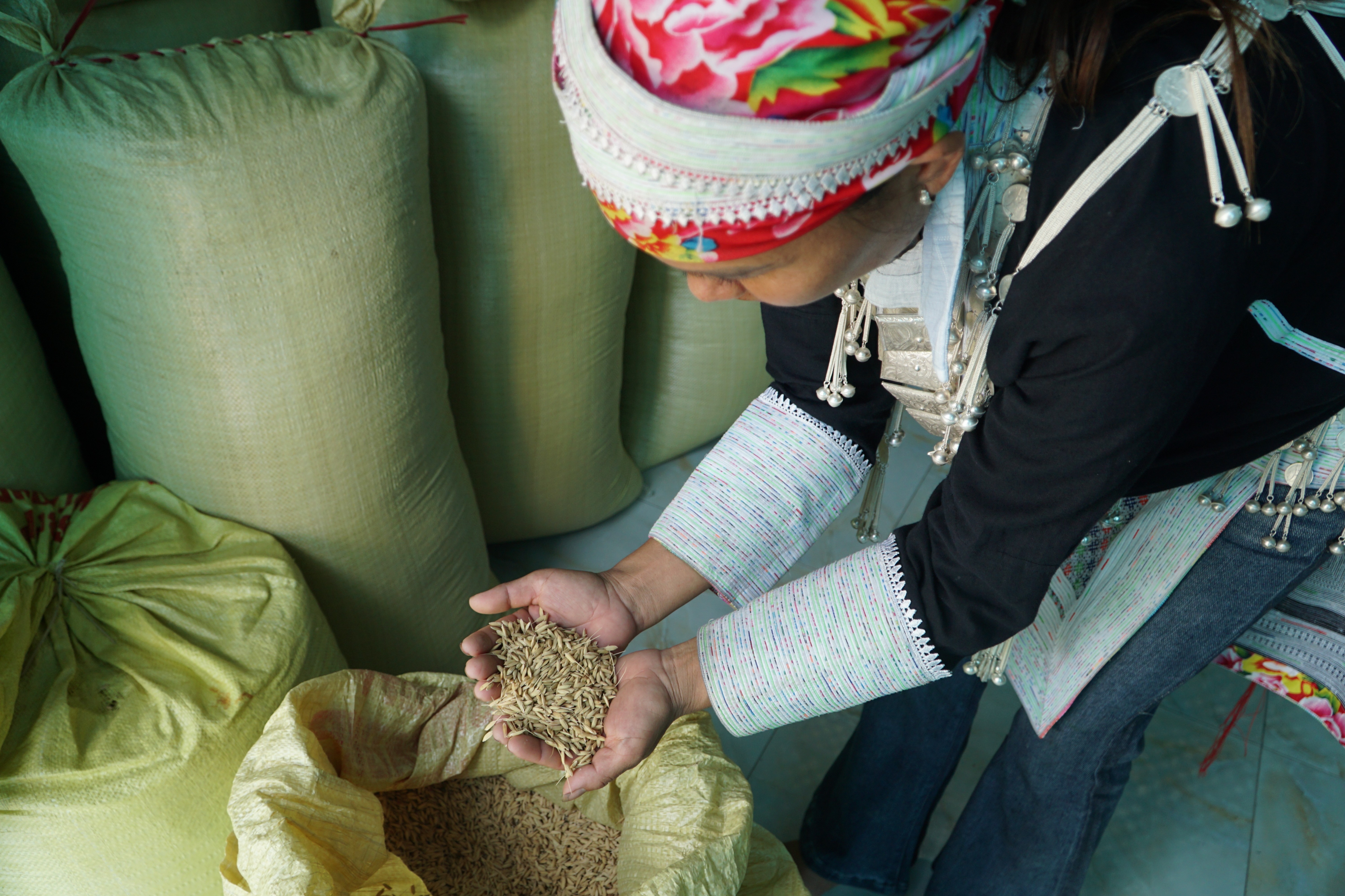 Lào Cai: Phụ nữ vùng cao thay đổi tư duy phát triển kinh tế, giảm nghèo bền vững