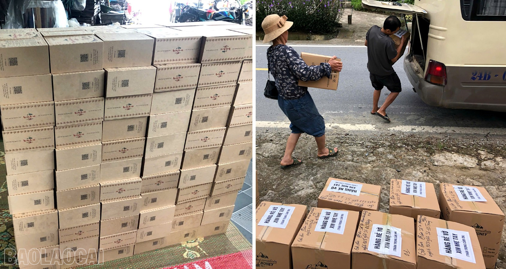 Lào Cai: Mật ong núi đá   sản phẩm OCOP chủ lực của Xuân Quang