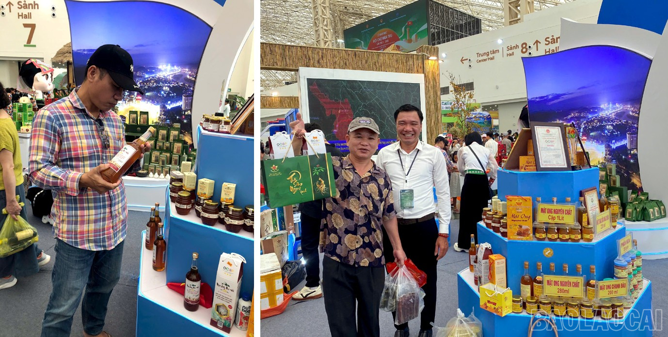 Lào Cai: Mật ong núi đá   sản phẩm OCOP chủ lực của Xuân Quang