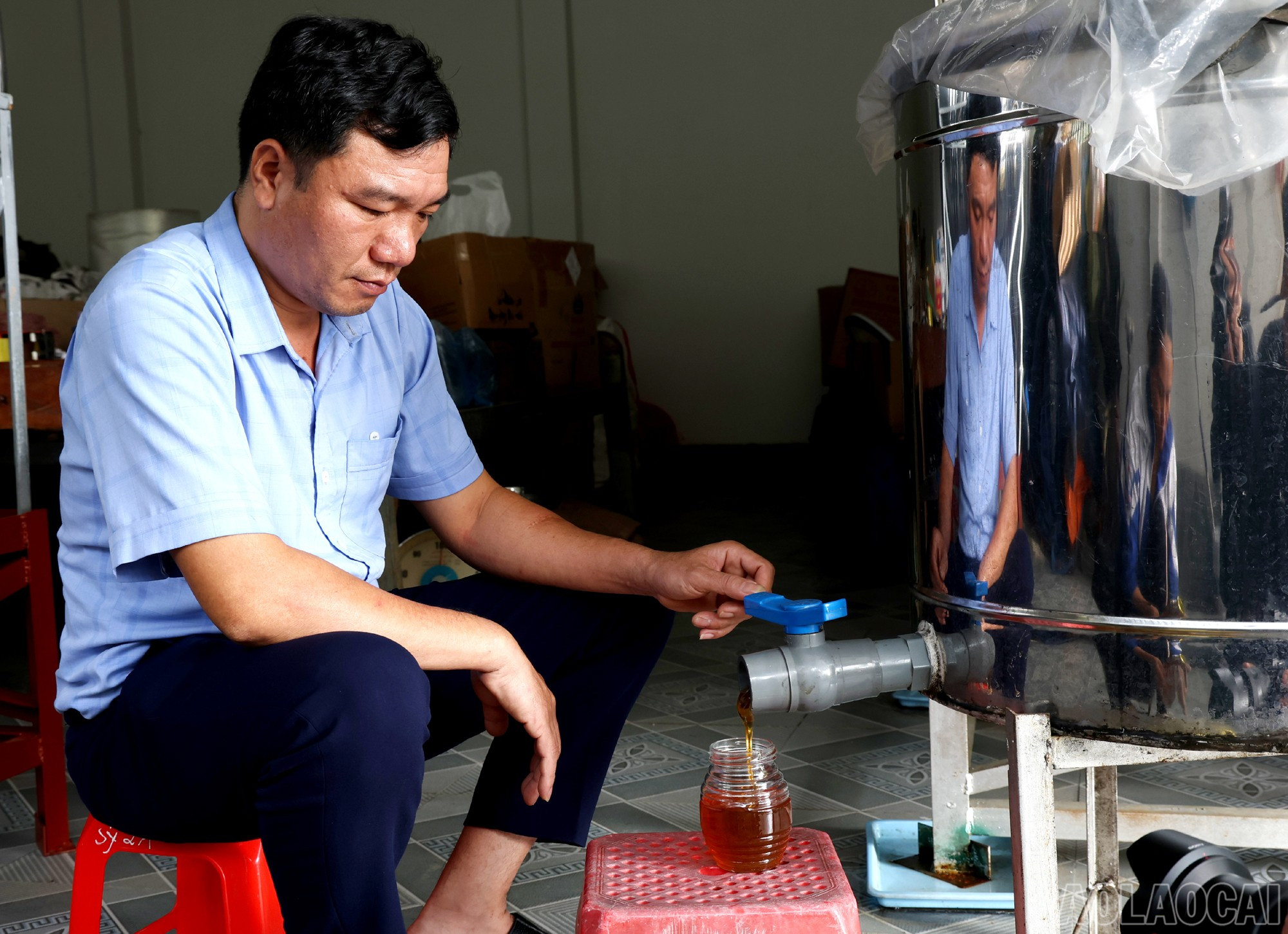 Lào Cai: Mật ong núi đá   sản phẩm OCOP chủ lực của Xuân Quang