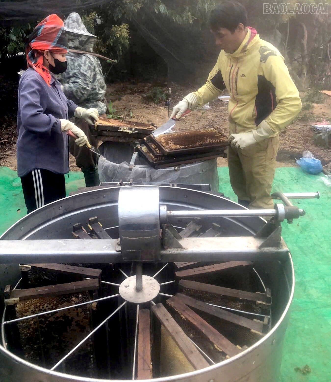 Lào Cai: Mật ong núi đá   sản phẩm OCOP chủ lực của Xuân Quang