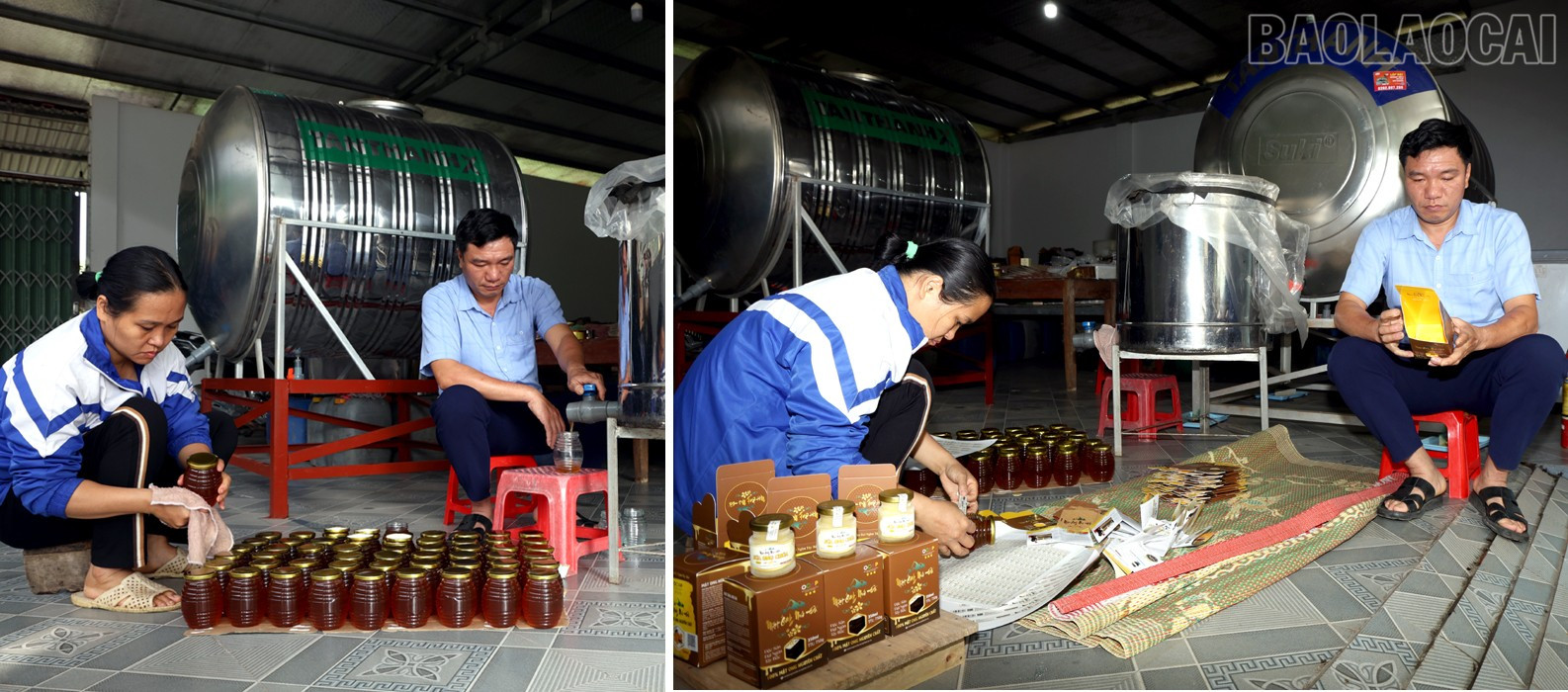 Lào Cai: Mật ong núi đá   sản phẩm OCOP chủ lực của Xuân Quang