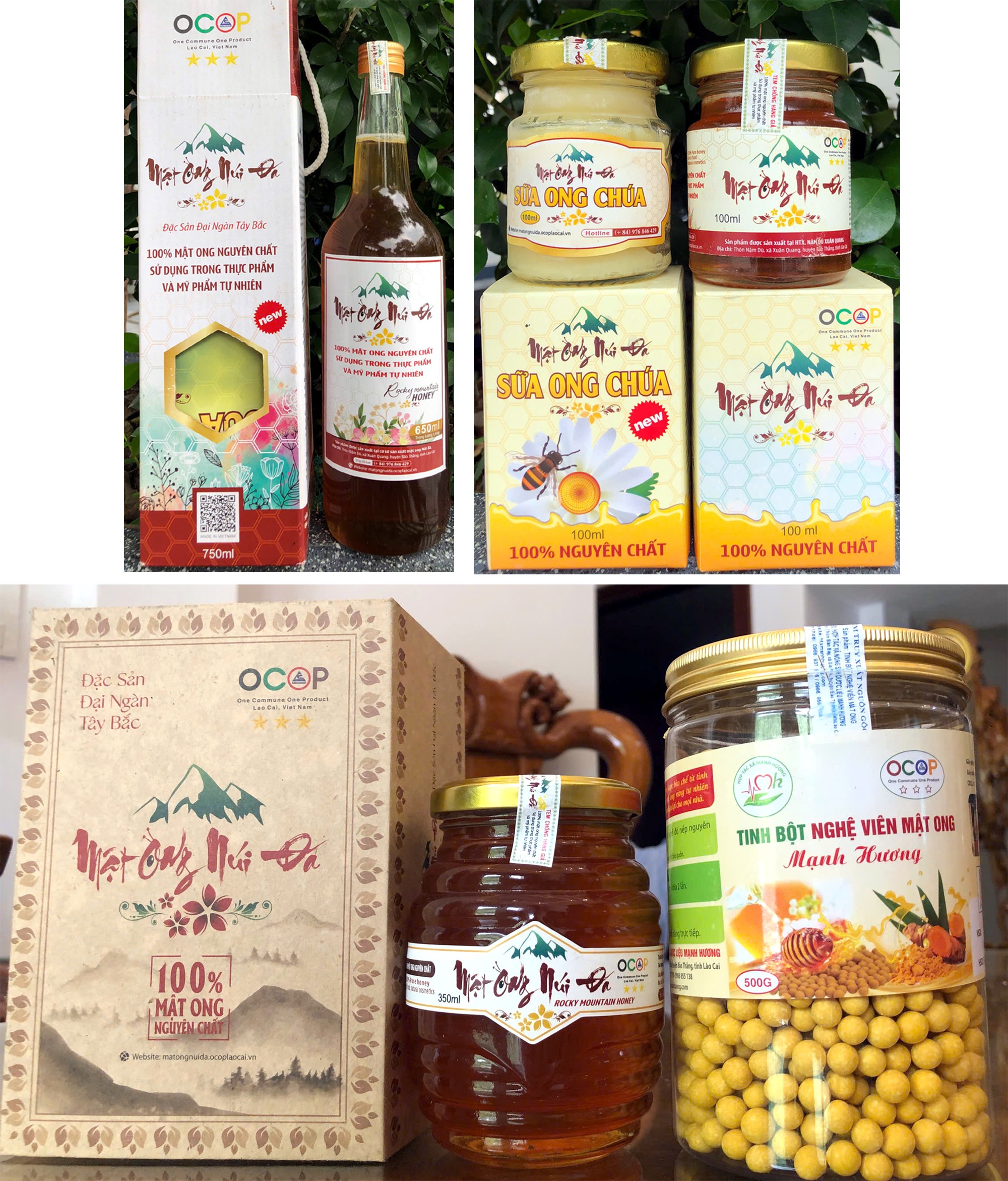 Lào Cai: Mật ong núi đá   sản phẩm OCOP chủ lực của Xuân Quang