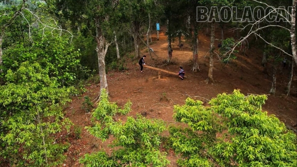 Lào Cai: Bảo vệ rừng để phát triển du lịch