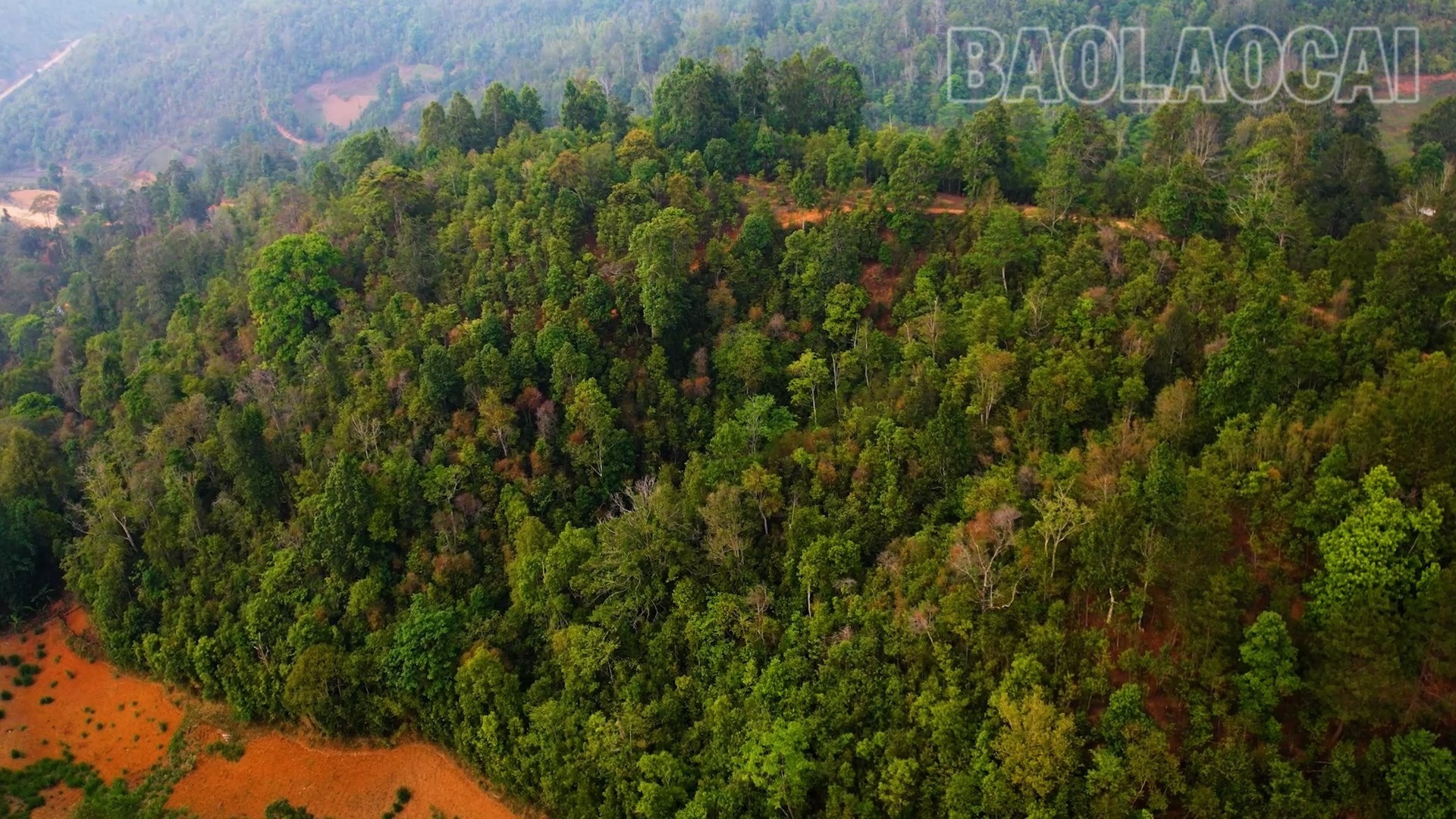 Lào Cai: Bảo vệ rừng để phát triển du lịch