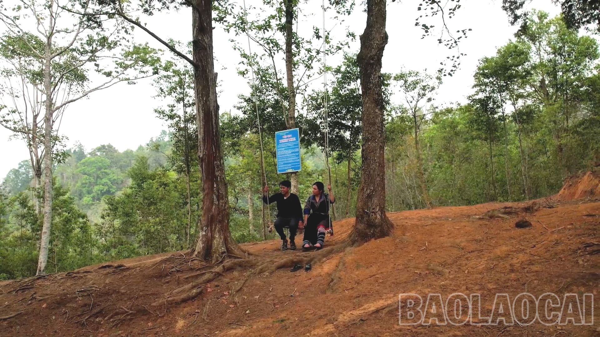 Lào Cai: Bảo vệ rừng để phát triển du lịch