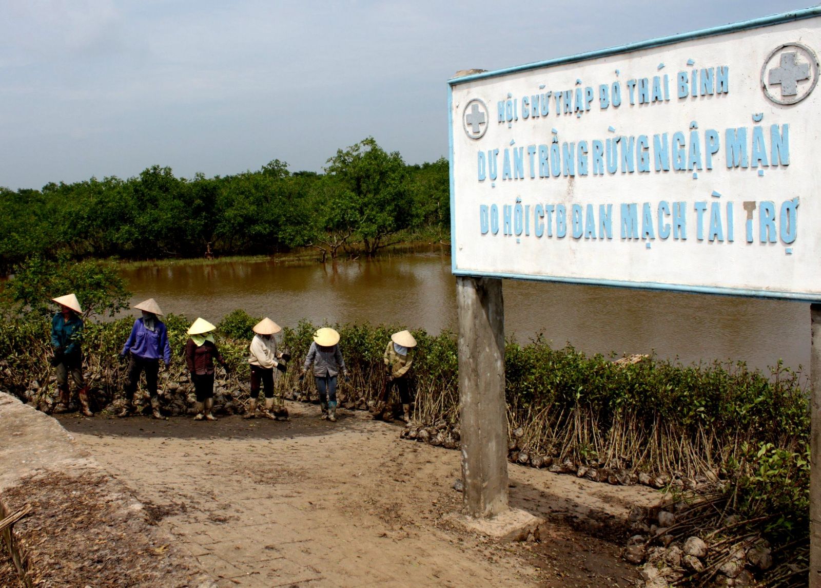 Thái Bình: Phấn đấu trồng khoảng 1,5 triệu cây xanh trong năm 2024 Thái Bình: Phấn đấu trồng khoảng 1,5 triệu cây xanh trong năm 2024