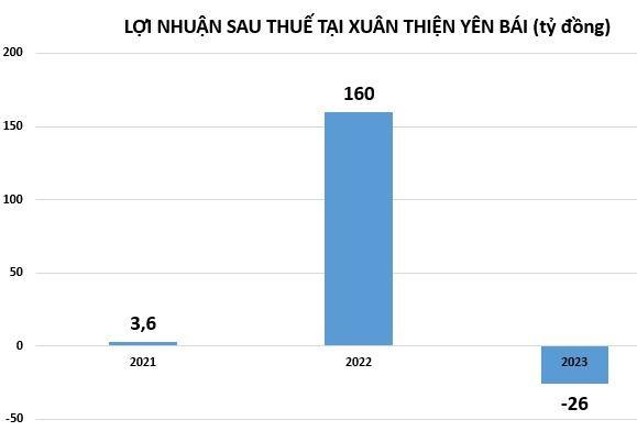 Năm 2023, nhóm doanh nghiệp nhà Xuân Thiện kinh doanh ra sao? Năm 2023, nhóm doanh nghiệp nhà Xuân Thiện kinh doanh ra sao?