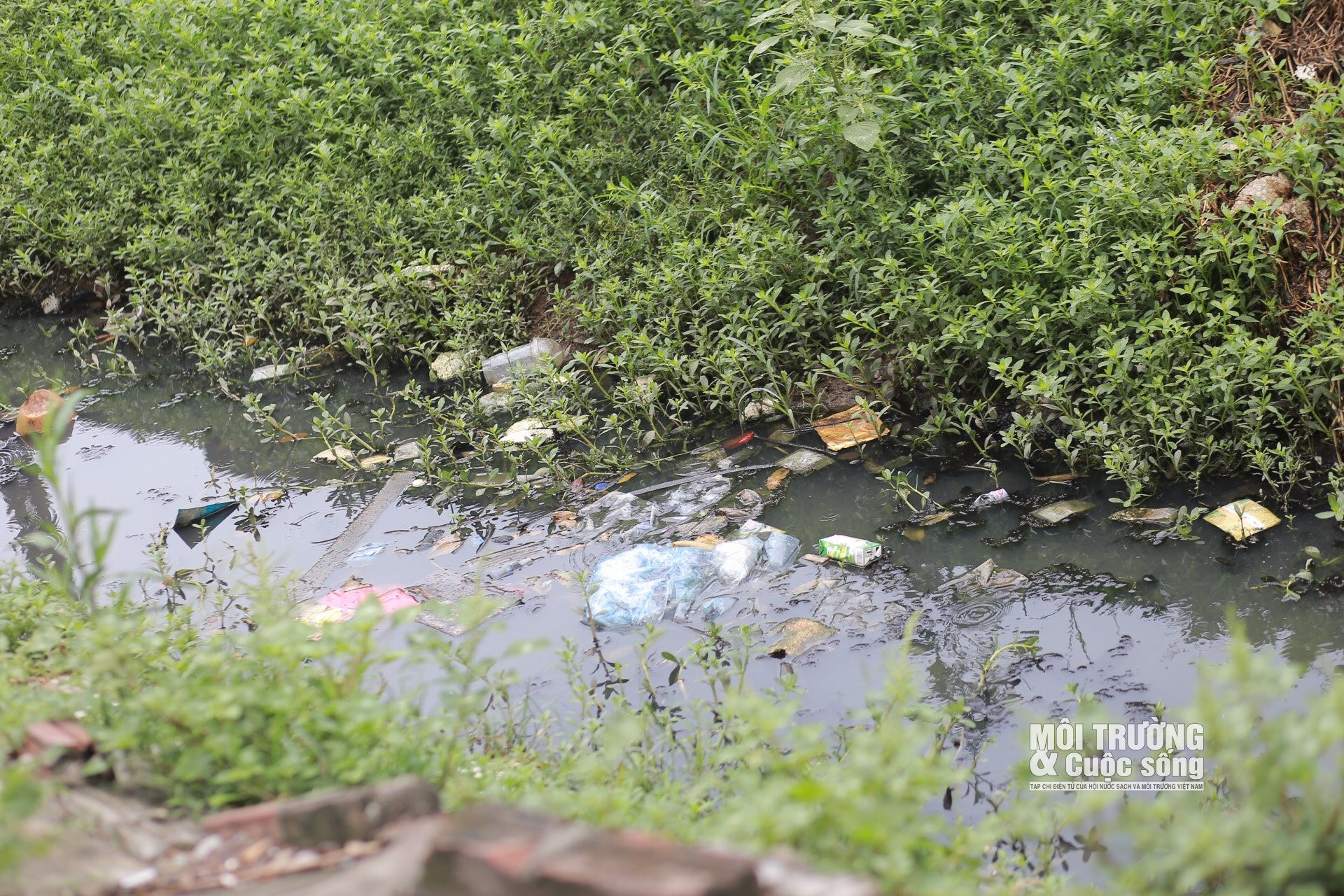 Hà Nội: Hàng loạt mương thoát nước đen kịt, bốc mùi hôi thối