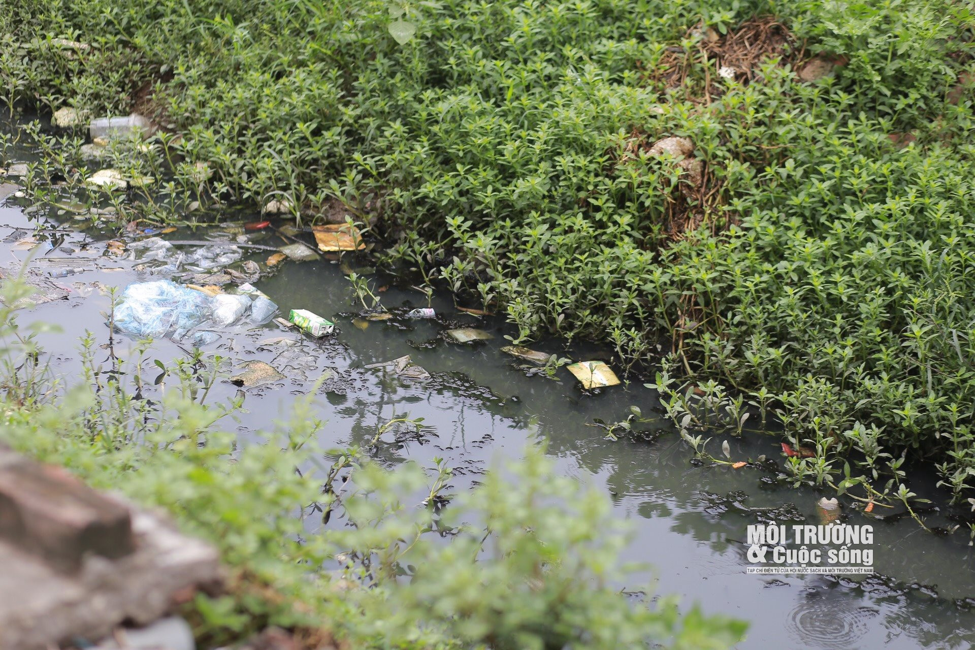 Hà Nội: Hàng loạt mương thoát nước đen kịt, bốc mùi hôi thối