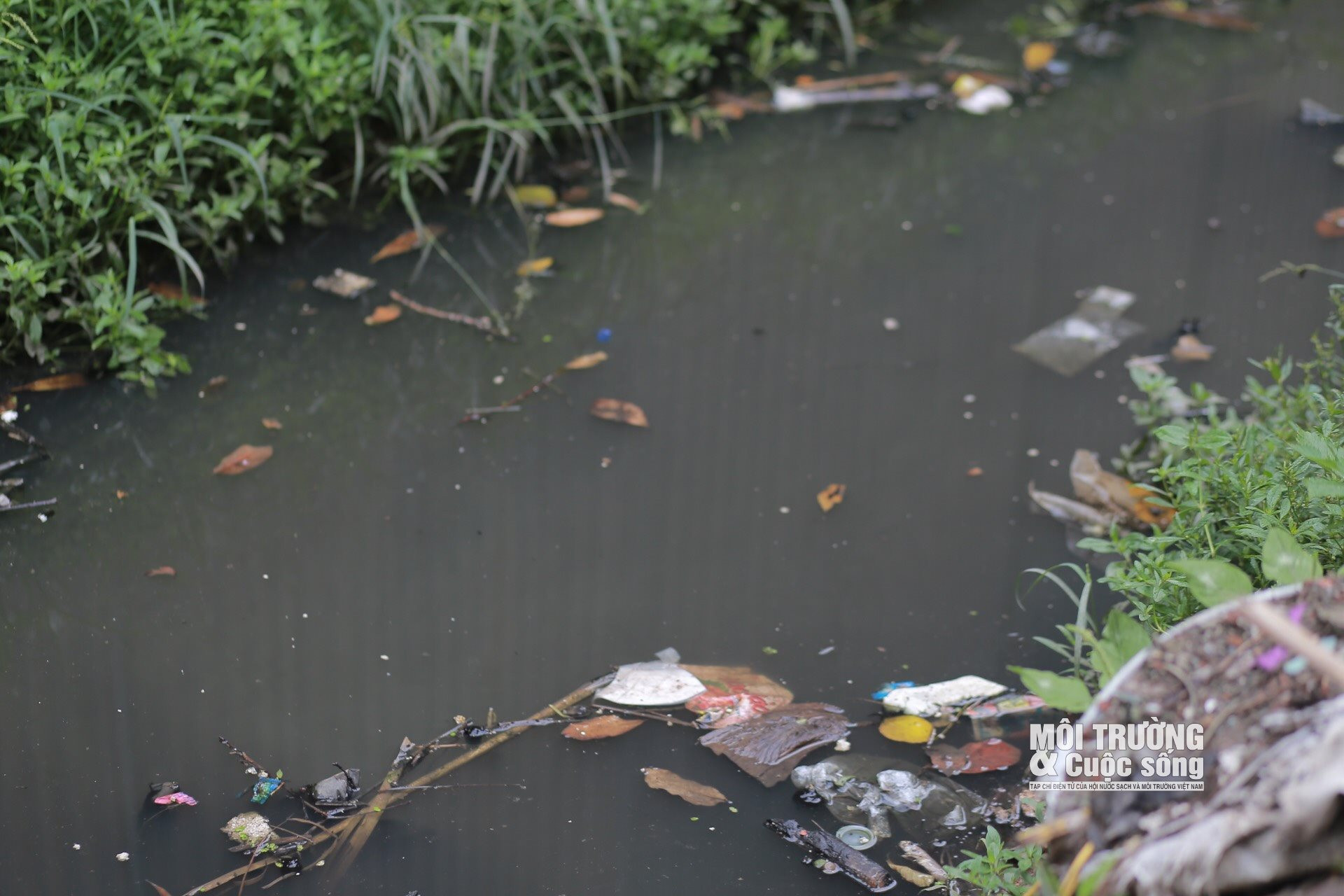 Hà Nội: Hàng loạt mương thoát nước đen kịt, bốc mùi hôi thối