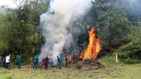 Hà Nội: Tập trung bảo vệ, phòng chống cháy rừng