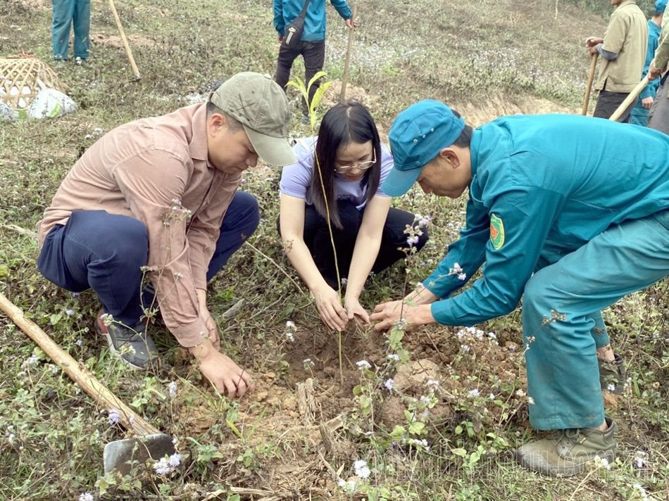 Làm dày “lá phổi xanh” trước tác động của biến đổi khí hậu Làm dày “lá phổi xanh” trước tác động của biến đổi khí hậu