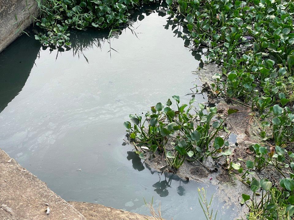 Đầu tư gần 15 tỷ đồng cải tạo hồ điều hòa bị ô nhiễm ở Quảng Ngãi Đầu tư gần 15 tỷ đồng cải tạo hồ điều hòa bị ô nhiễm ở Quảng Ngãi