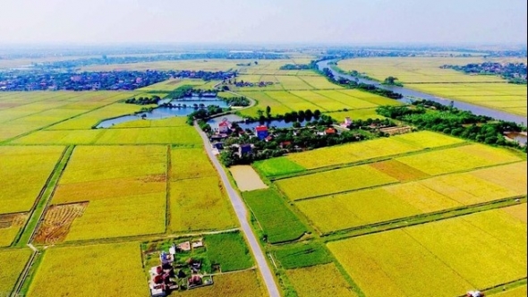 Tin bất động sản ngày 7/7: TP HCM được chuyển mục đích sử dụng đất trồng lúa dưới 500 ha