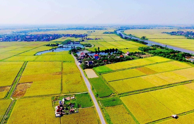 Tin bất động sản ngày 7/7: TP HCM được chuyển mục đích sử dụng đất trồng lúa dưới 500 ha