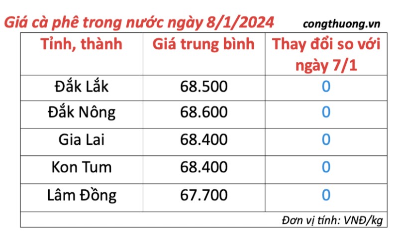 Giá cà phê hôm nay, ngày 8/1/2024: Giá cà phê trong nước đứng ở mức cao Giá cà phê hôm nay, ngày 8/1/2024: Giá cà phê trong nước