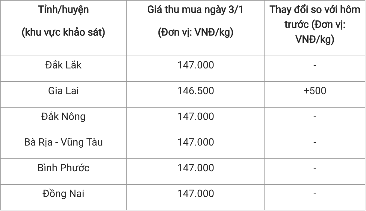 Giá tiêu hôm nay 31 Tiếp tục biến động tại khu vực Gia Lai