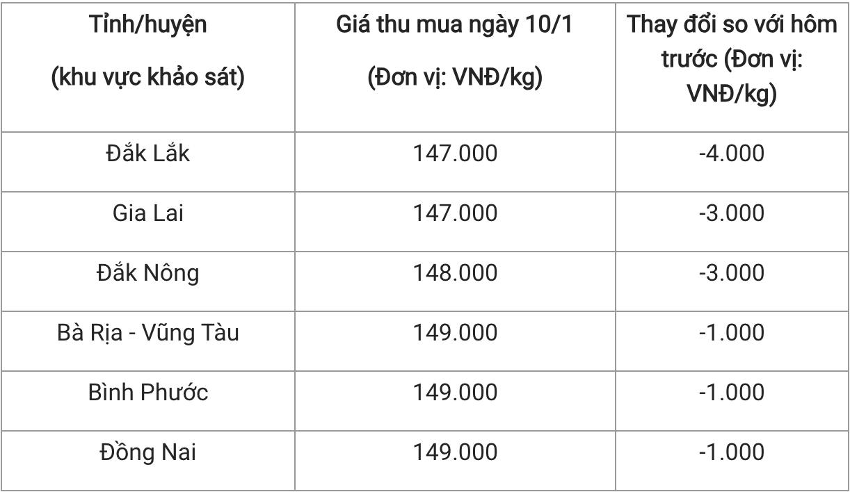 Giá tiêu hôm nay 101 Khu vực Tây Nguyên mất 3000 – 4000 đồngkg