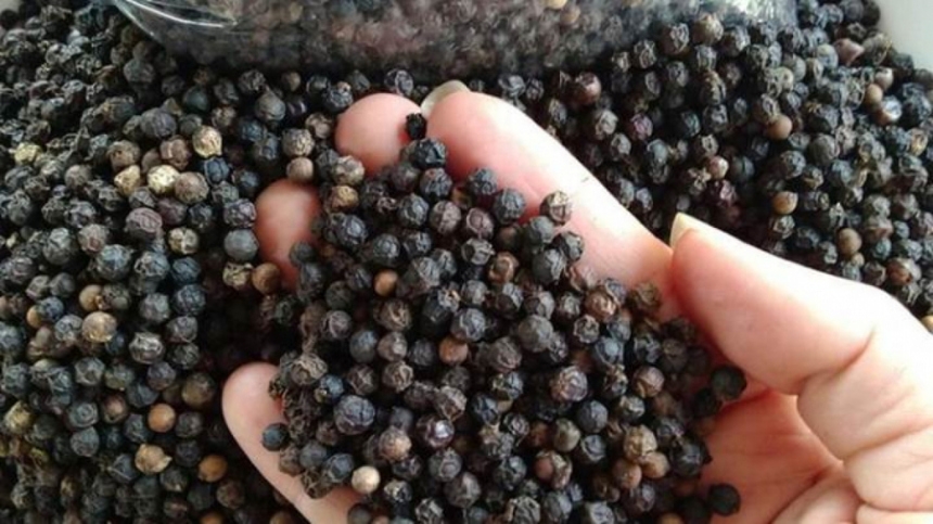 Giá tiêu hôm nay 18/2: Trung Quốc tăng mua, giá tiêu tiếp tục tăng 500 – 1.000 đồng/kg Giá tiêu hôm nay 18/2: Trung Quốc tăng mua, giá tiêu tiếp tục tăng 500 – 1.000 đồng/kg